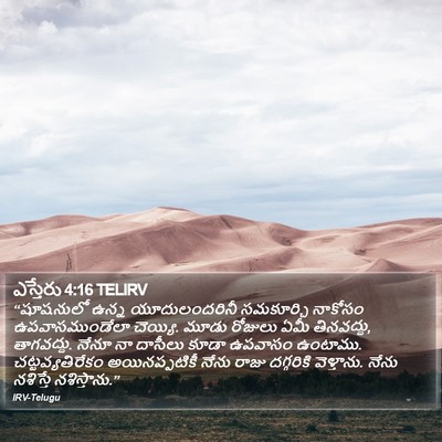ఎస్తేరు 4:16 TELIRV Bible Verse Image