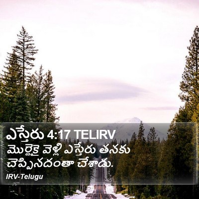 ఎస్తేరు 4:17 TELIRV Bible Verse Image