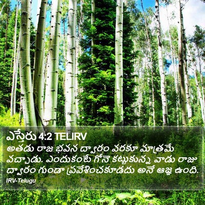 ఎస్తేరు 4:2 TELIRV Bible Verse Image