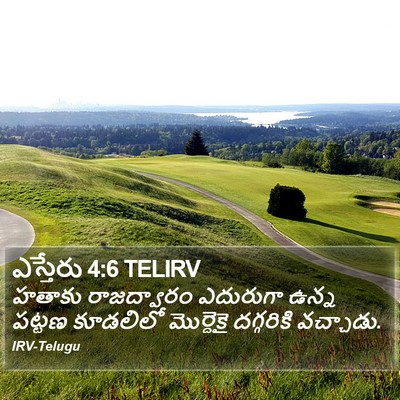 ఎస్తేరు 4:6 TELIRV Bible Verse Image