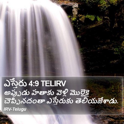 ఎస్తేరు 4:9 TELIRV Bible Verse Image