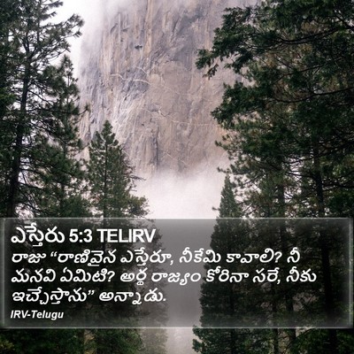 ఎస్తేరు 5:3 TELIRV Bible Verse Image