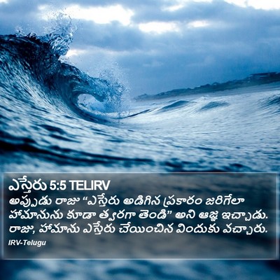 ఎస్తేరు 5:5 TELIRV Bible Verse Image