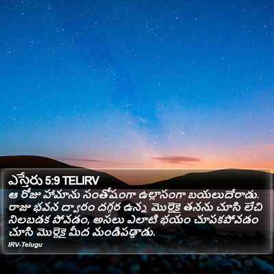 ఎస్తేరు 5:9 TELIRV Bible Verse Image