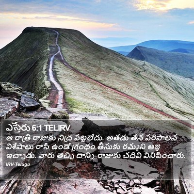 ఎస్తేరు 6:1 TELIRV Bible Verse Image