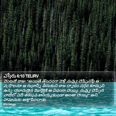 ఎస్తేరు 6:10 TELIRV Bible Verse Image
