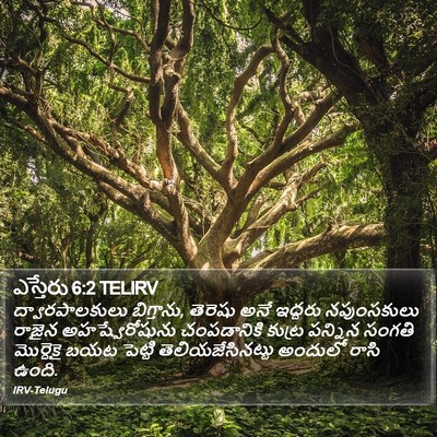 ఎస్తేరు 6:2 TELIRV Bible Verse Image