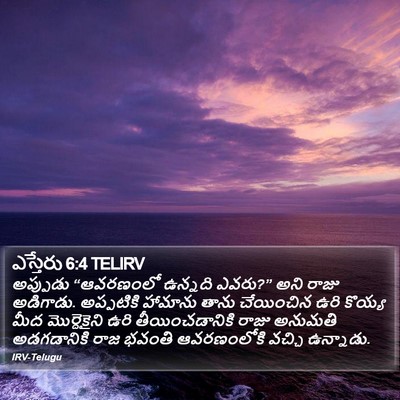 ఎస్తేరు 6:4 TELIRV Bible Verse Image