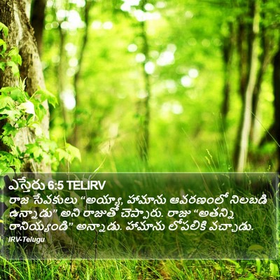 ఎస్తేరు 6:5 TELIRV Bible Verse Image