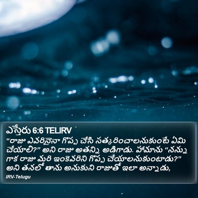 ఎస్తేరు 6:6 TELIRV Bible Verse Image