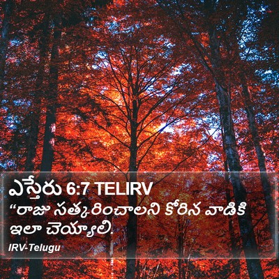 ఎస్తేరు 6:7 TELIRV Bible Verse Image