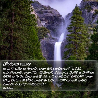 ఎస్తేరు 6:9 TELIRV Bible Verse Image