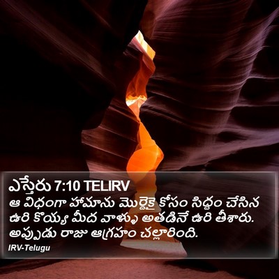 ఎస్తేరు 7:10 TELIRV Bible Verse Image