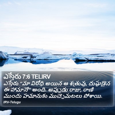 ఎస్తేరు 7:6 TELIRV Bible Verse Image