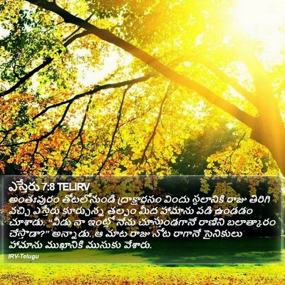 ఎస్తేరు 7:8 TELIRV Bible Verse Image