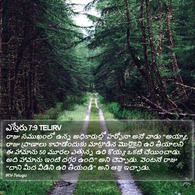 ఎస్తేరు 7:9 TELIRV Bible Verse Image
