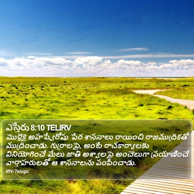 ఎస్తేరు 8:10 TELIRV Bible Verse Image