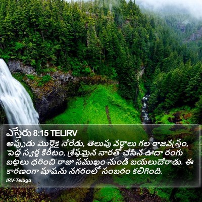 ఎస్తేరు 8:15 TELIRV Bible Verse Image
