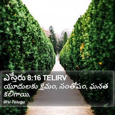 ఎస్తేరు 8:16 TELIRV Bible Verse Image