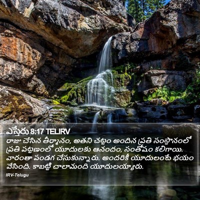 ఎస్తేరు 8:17 TELIRV Bible Verse Image