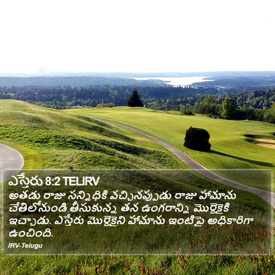 ఎస్తేరు 8:2 TELIRV Bible Verse Image