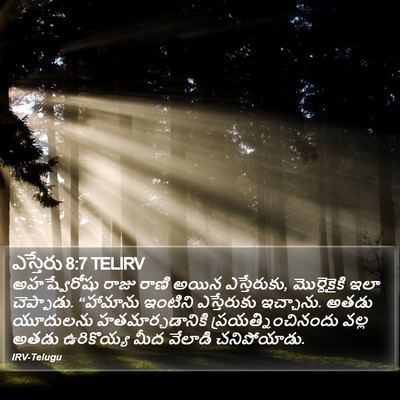 ఎస్తేరు 8:7 TELIRV Bible Verse Image