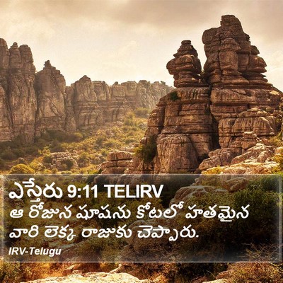 ఎస్తేరు 9:11 TELIRV Bible Verse Image