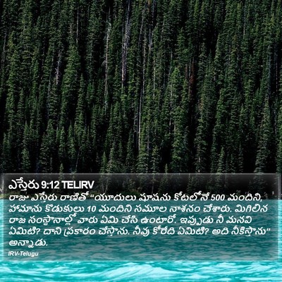 ఎస్తేరు 9:12 TELIRV Bible Verse Image