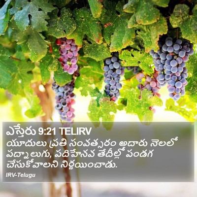 ఎస్తేరు 9:21 TELIRV Bible Verse Image