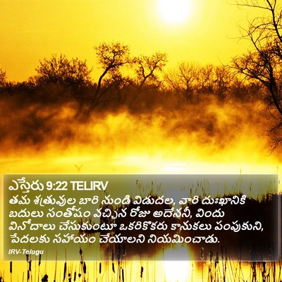 ఎస్తేరు 9:22 TELIRV Bible Verse Image