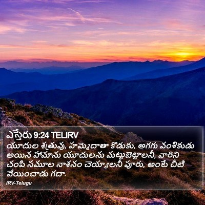 ఎస్తేరు 9:24 TELIRV Bible Verse Image