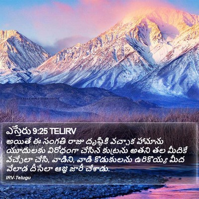 ఎస్తేరు 9:25 TELIRV Bible Verse Image