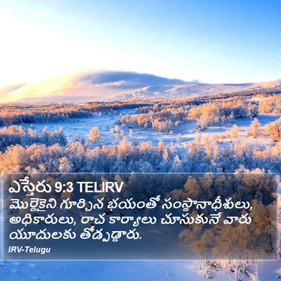 ఎస్తేరు 9:3 TELIRV Bible Verse Image