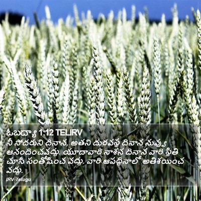 ఓబద్యా 1:12 TELIRV Bible Verse Image