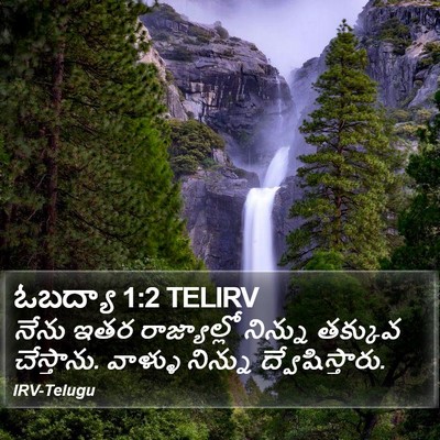 ఓబద్యా 1:2 TELIRV Bible Verse Image
