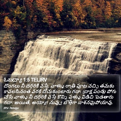 ఓబద్యా 1:5 TELIRV Bible Verse Image