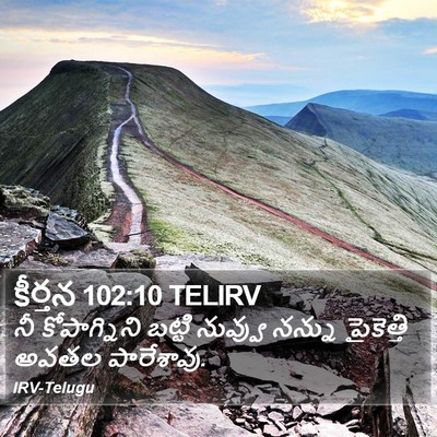 కీర్తన 102:10 TELIRV Bible Verse Image
