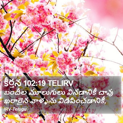 కీర్తన 102:19 TELIRV Bible Verse Image
