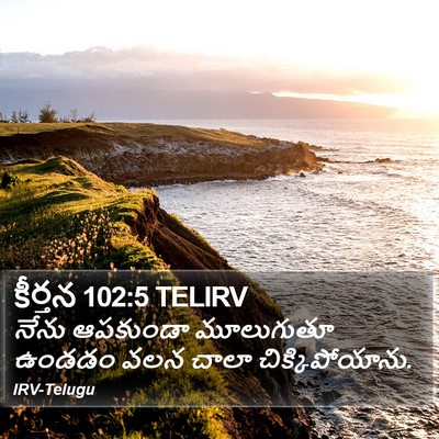 కీర్తన 102:5 TELIRV Bible Verse Image
