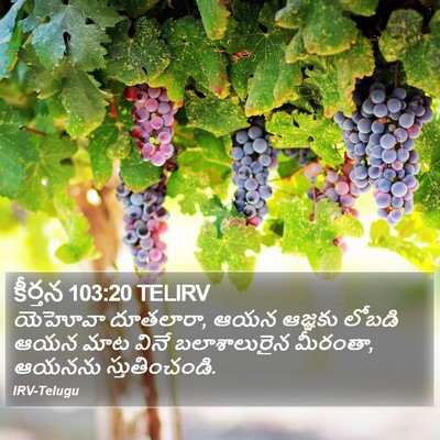 కీర్తన 103:20 TELIRV Bible Verse Image