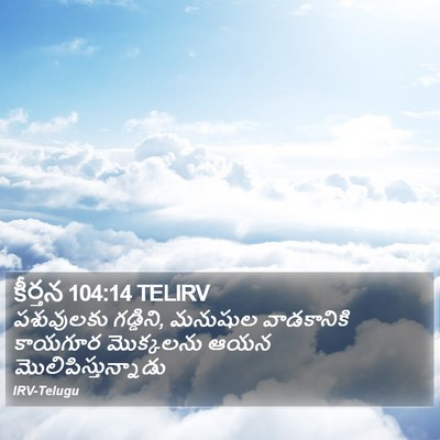 కీర్తన 104:14 TELIRV Bible Verse Image