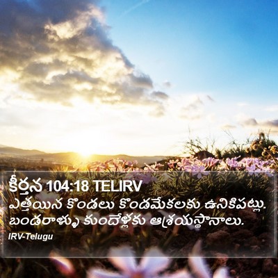 కీర్తన 104:18 TELIRV Bible Verse Image