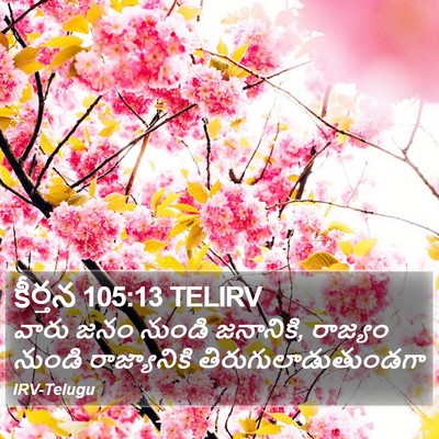 కీర్తన 105:13 TELIRV Bible Verse Image