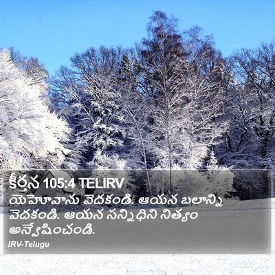 కీర్తన 105:4 TELIRV Bible Verse Image