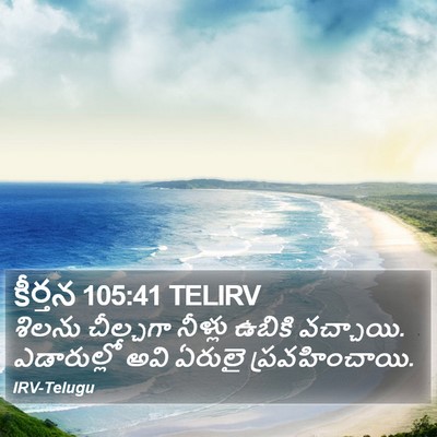 కీర్తన 105:41 TELIRV Bible Verse Image
