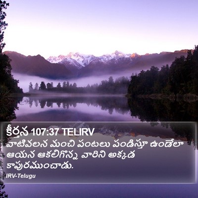 కీర్తన 107:37 TELIRV Bible Verse Image
