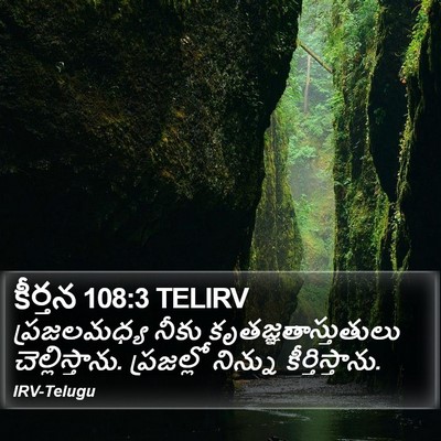 కీర్తన 108:3 TELIRV Bible Verse Image