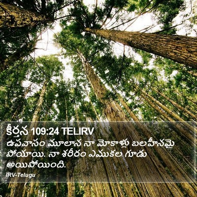 కీర్తన 109:24 TELIRV Bible Verse Image