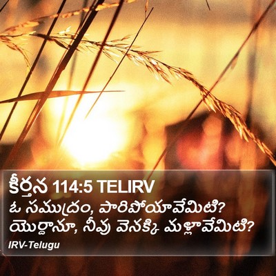 కీర్తన 114:5 TELIRV Bible Verse Image