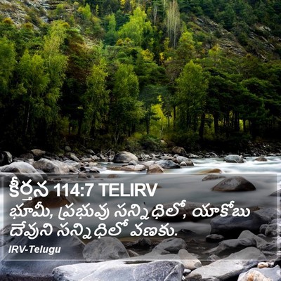 కీర్తన 114:7 TELIRV Bible Verse Image